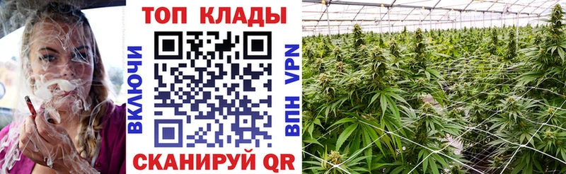 Марихуана Злынка