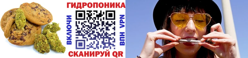 Купить  Злынка  Cannafood марихуана 