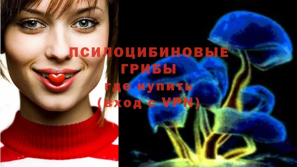 стаф Заволжск