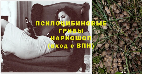 стаф Заволжск