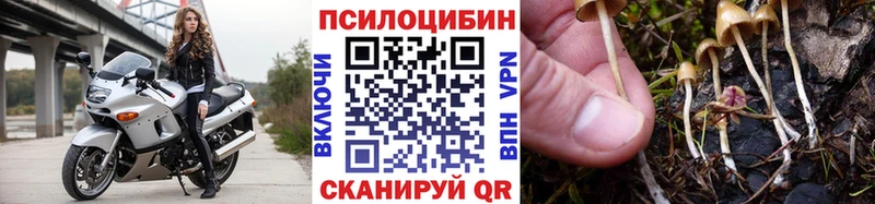 Купить  Злынка  Псилоцибиновые грибы Magic Shrooms 